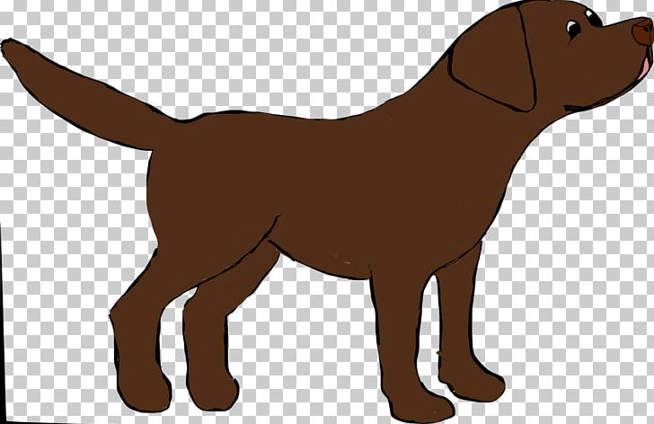 Labrador Retriever Golden Retriever Nova Scotia Duck Tolling Retriever German Shepherd Puppy PNG, Clipart, Animals, Canidae, Carnivoran, Cartoon, Companion Dog Free PNG Download