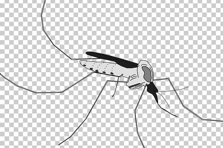 Mosquito Swim Briefs PNG, Clipart, Angle, Black, Encapsulated Postscript, Insects, Line Free PNG Download