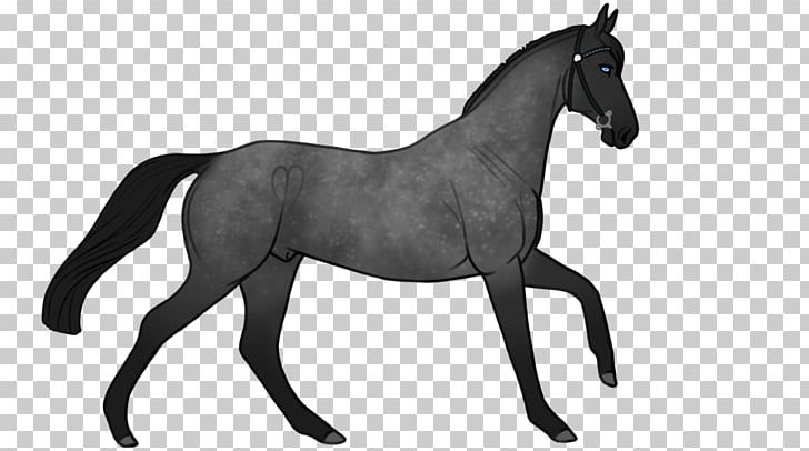 Mustang Foal Pony Rein Stallion PNG, Clipart, Animal Figure, Bit, Black And White, Bridle, Colt Free PNG Download