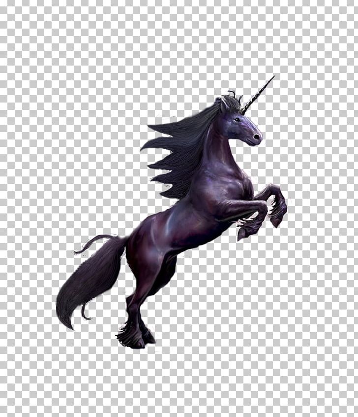 Unicorn Mustang Stallion Mane Halter PNG, Clipart, Animal Figure, Anne Stokes, Black, Fantasy, Fictional Character Free PNG Download