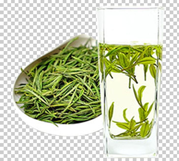 White Tea Gyokuro Anji County Hu014djicha PNG, Clipart, Biluochun, Bubble Tea, Cup, Flowerpot, Food Drinks Free PNG Download