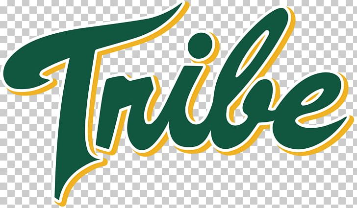 William & Mary Tribe Football William & Mary Tribe Women's Basketball William & Mary Tribe Men's Soccer Zable Stadium William & Mary Tribe Baseball PNG, Clipart, American Football, Area, Artwork, Brand, College Free PNG Download