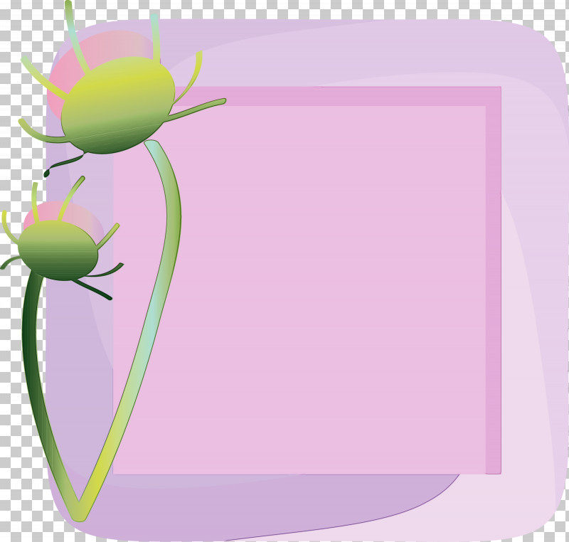 Lavender PNG, Clipart, Biology, Cartoon, Flower, Flower Frame, Flower Photo Frame Free PNG Download