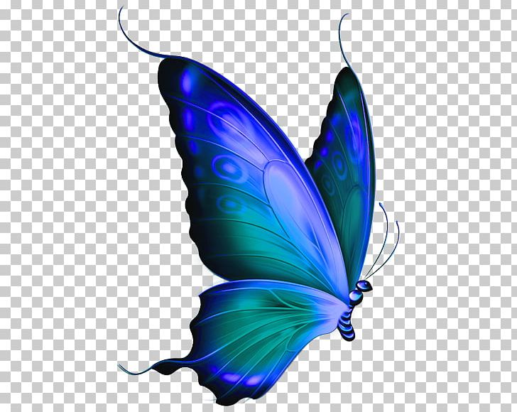 Butterfly PNG, Clipart, Blue, Bluegreen, Butterfly, Color, Drawing Free PNG Download