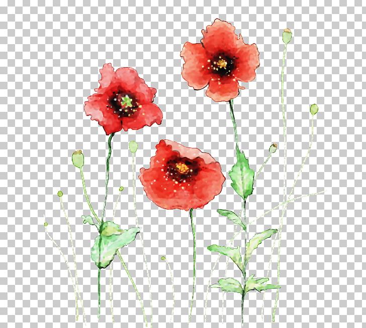 Flower Watercolor Painting PNG, Clipart, Color, Computer Icons, Coquelicot, Drawing, Encapsulated Postscript Free PNG Download