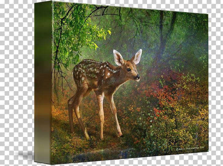 White-tailed Deer Canvas Print Printing Painting PNG, Clipart, Animal, Antler, Art, Art Museum, Canvas Free PNG Download