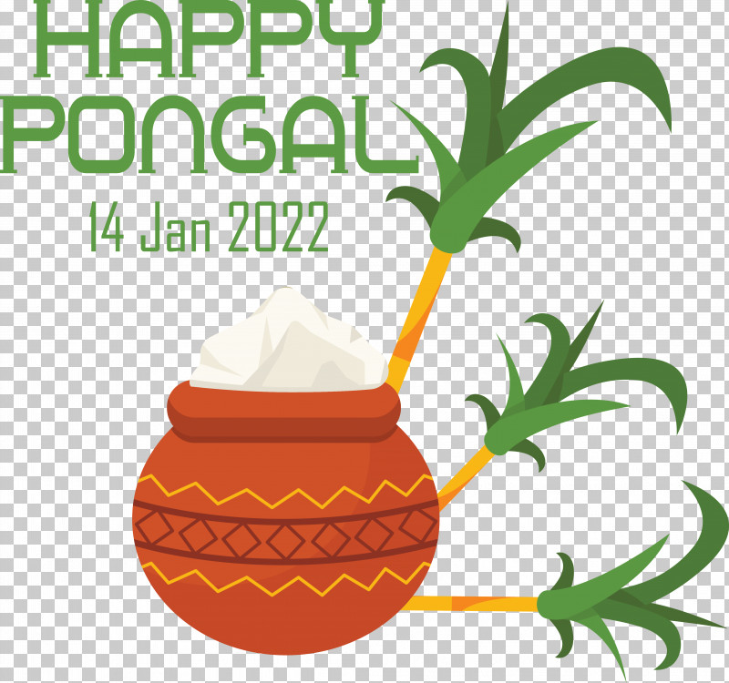 Makar Sankranti PNG, Clipart, Drawing, Festival, Harvest, Harvest Festival, Makar Sankranti Free PNG Download