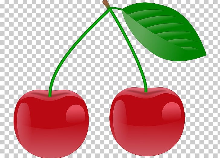 Cherry Photography PNG, Clipart, Apple, Casino, Cherry, Drawing, Flowering Plant Free PNG Download