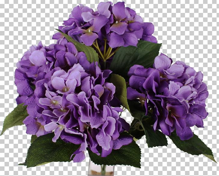 Smooth Hydrangea Shrub Lavender Cut Flowers PNG, Clipart, Annual Plant, Bellflower Family, Blue, Cut Flowers, Floral Design Free PNG Download