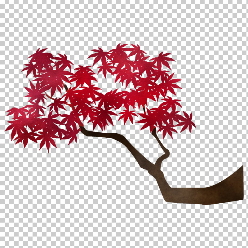 Maple Branch Maple Leaves Autumn Tree PNG, Clipart, Autumn, Autumn Tree, Black Maple, Branch, Fall Free PNG Download