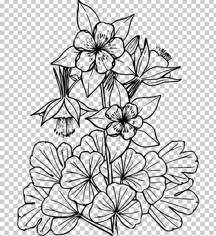 Colorado Blue Columbine Red Columbine PNG, Clipart, Branch, Color, Colorado, Colorado Blue Columbine, Coloring Book Free PNG Download
