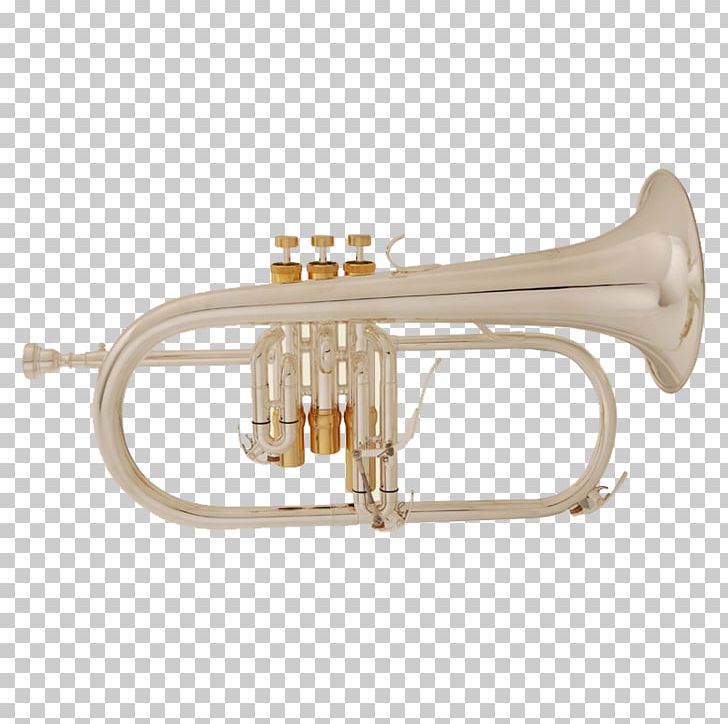 Cornet Flugelhorn Trumpet Tenor Horn Mellophone PNG, Clipart, Alto Horn, Brass, Brass Instrument, Brass Instruments, Cornet Free PNG Download