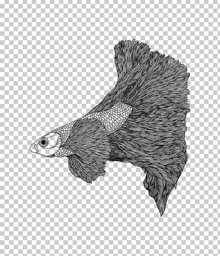 Eagle Hedgehog Drawing Porcupine /m/02csf PNG, Clipart, Beak, Bird, Bird Of Prey, Black And White, Chicken Free PNG Download