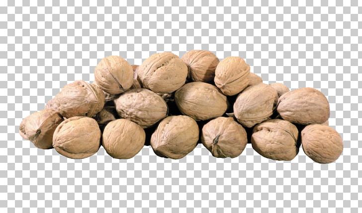 English Walnut Hazelnut Peanut Pistacia PNG, Clipart, Acorn, Almond, Cashew, English Walnut, Food Free PNG Download