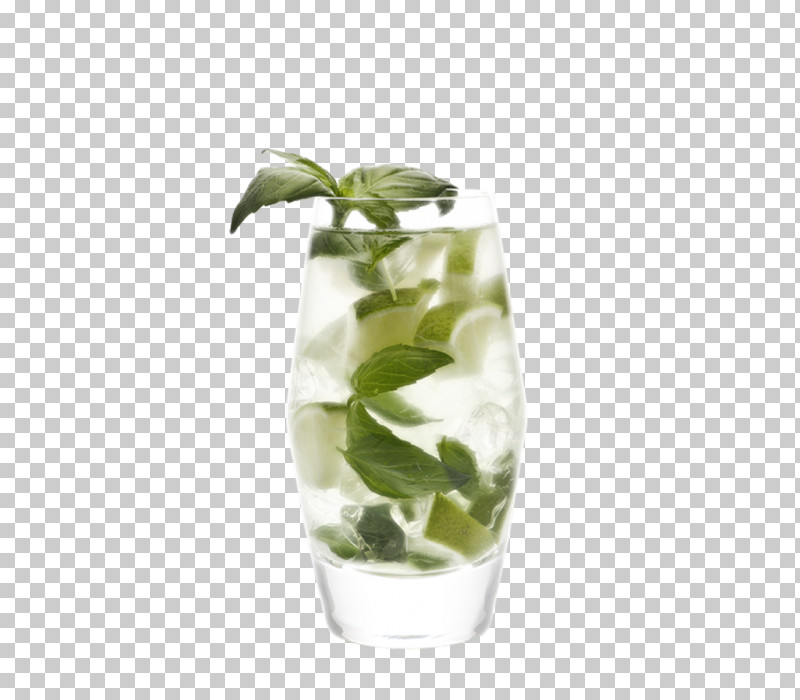 Leaf Plant Vase Highball Glass Lemon Basil PNG, Clipart, Basil, Drink, Flower, Glass, Herb Free PNG Download
