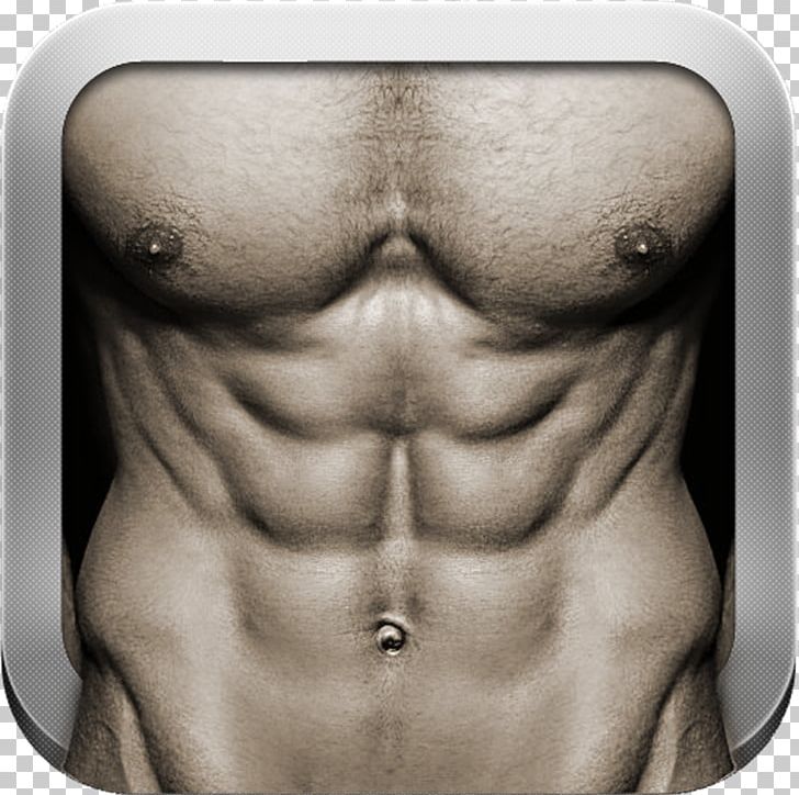 Abdominal Exercise Rectus Abdominis Muscle Crunch Personal Trainer PNG, Clipart, Abdomen, Abdominal Exercise, Abs, Arm, Barechestedness Free PNG Download