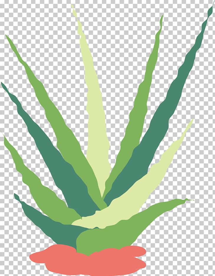 Cactaceae Succulent Plant Flat Design Euclidean PNG, Clipart, Aloe, Botany, Design, Grass, Hand Free PNG Download