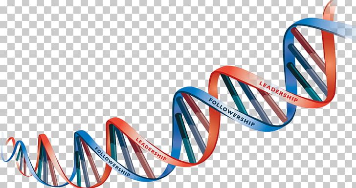 DNA Heredity PNG, Clipart, Biology, Brand, Clip Art, Dna, Electric Blue Free PNG Download