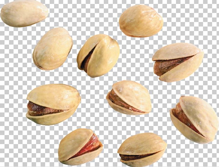 Pistachio Nut Digital PNG, Clipart, Computer Graphics, Digital Image, Encapsulated Postscript, Food, Fruit Nut Free PNG Download
