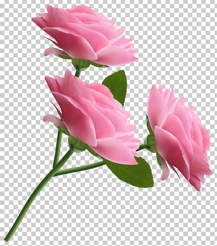 Rose Pink PNG, Clipart, Animation, Artificial Flower, Bud, Computer Icons, Cut Flowers Free PNG Download