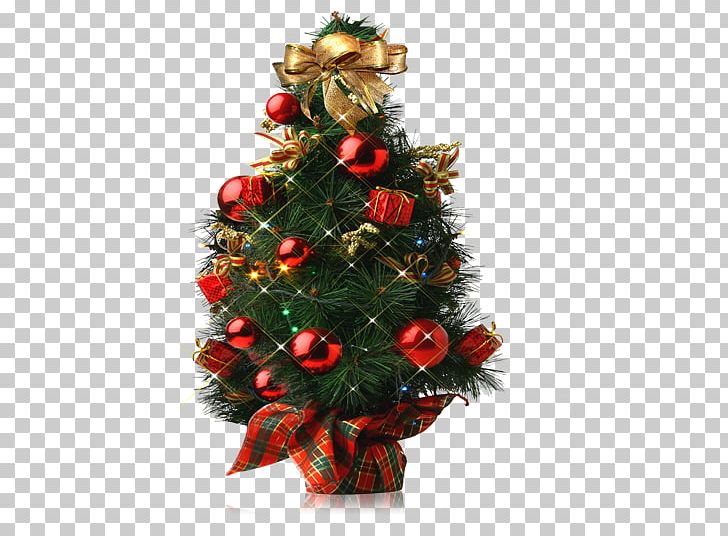 Tree PNG, Clipart, Branch, Carnival, Christmas, Christmas Decoration, Christmas Frame Free PNG Download