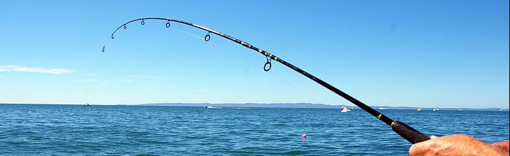 New Zealand Recreational Fishing Fishing Rods Fishing Reels PNG, Clipart, Angling, Biggame Fishing, Boat, Casting Fishing, Fisherman Free PNG Download