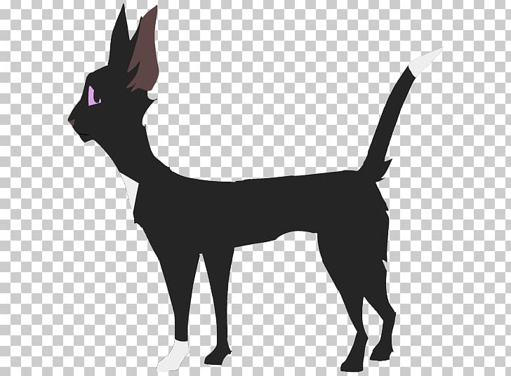 Whiskers Dog Breed Cat Warriors PNG, Clipart, Animals, Black And White, Breed, Carnivoran, Cat Free PNG Download