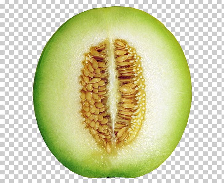 Honeydew Cantaloupe Canary Melon Galia Melon Berry PNG, Clipart, Background Green, Cantaloupe, Commodity, Cucumber Gourd And Melon Family, Cucumis Free PNG Download