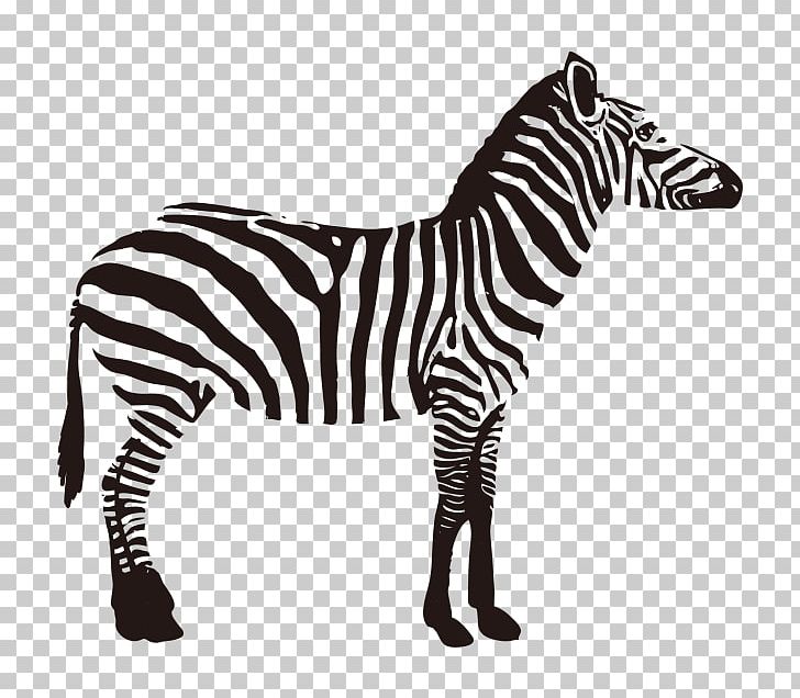 Quagga Zebra Fauna Of Africa Animal PNG, Clipart, Africa, Animal, Animal Figure, Animals, Bfe Free PNG Download