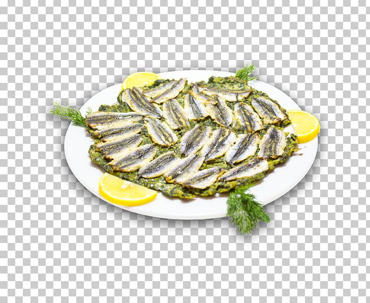 Sardine Fish Products Oily Fish Dish Network PNG, Clipart, Animals, Animal Source Foods, Dish, Dish Network, Dishware Free PNG Download