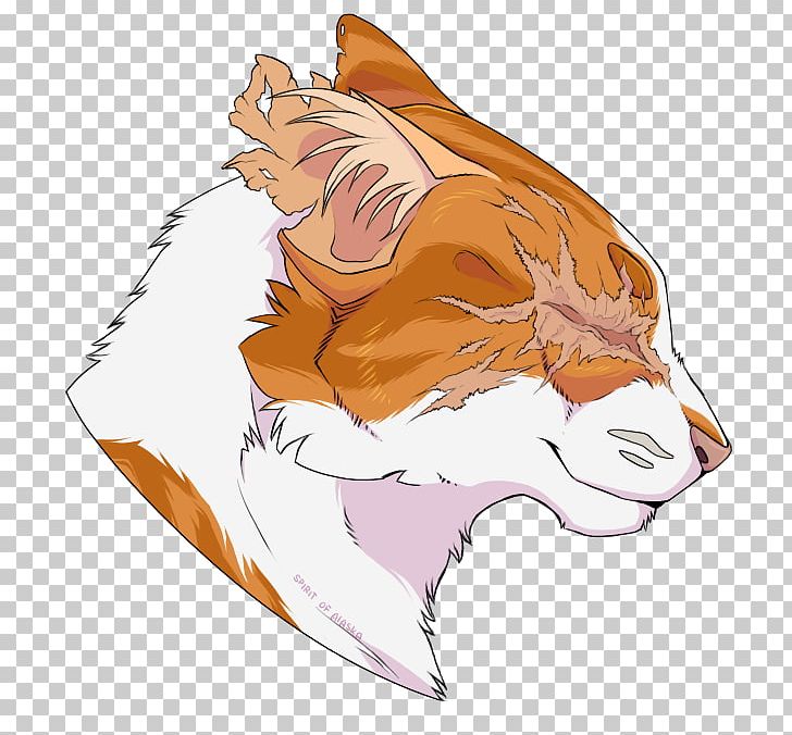Whiskers Brightheart Cat Cloudtail Tiger PNG, Clipart,  Free PNG Download