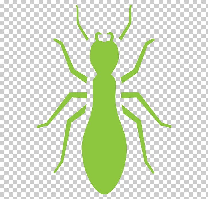 Cockroach Mosquito Pest Control Termite Ant PNG, Clipart,  Free PNG Download