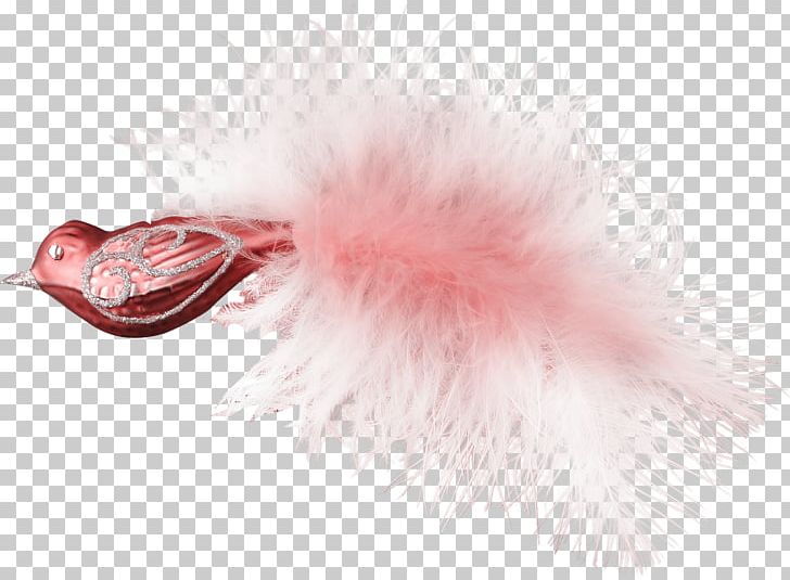 Feather Pink M PNG, Clipart, Animals, Feather, Pink, Pink M Free PNG Download