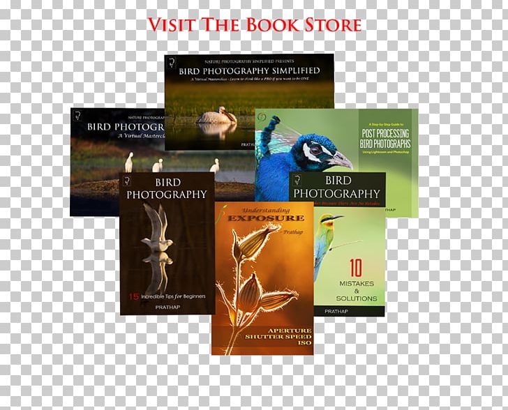 Bird Nature Photography Landscape Photography PNG, Clipart, Advertising, Animals, Bird, Brand, Brochure Free PNG Download