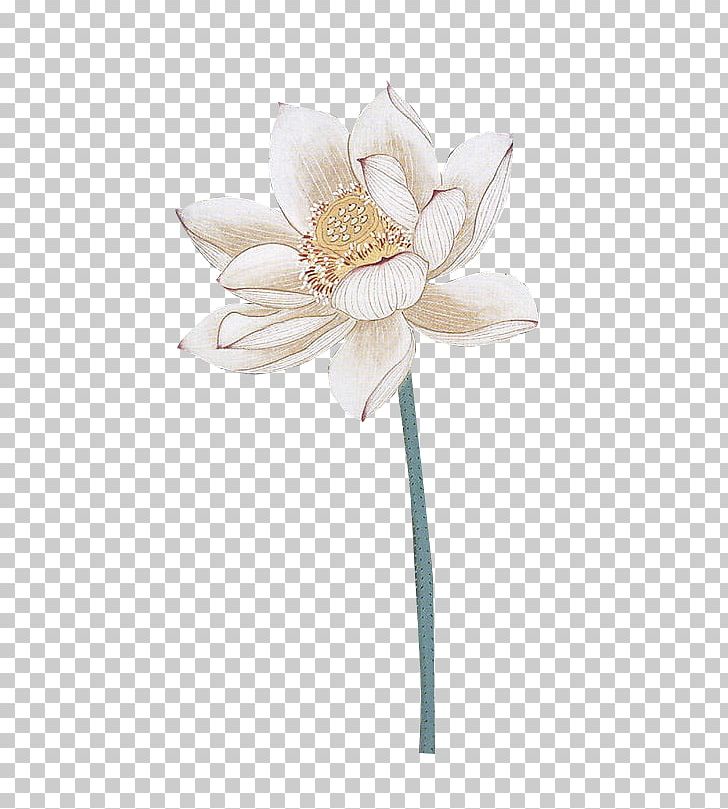 Nelumbo Nucifera Lotus Effect Watercolor Painting PNG, Clipart, Chinese, Cut Flowers, Download, Flower, Flowering Plant Free PNG Download