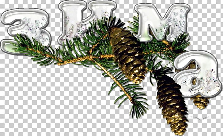 Winter Autumn Photography Drawing Summer PNG, Clipart, Autumn, Building, Christmas, Christmas Ornament, Conifer Free PNG Download