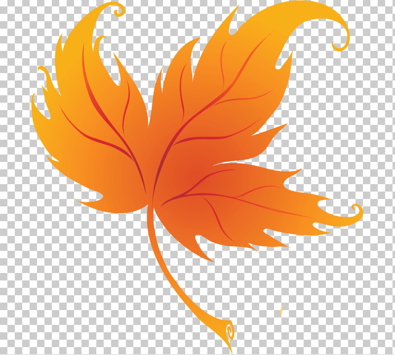 Maple Leaf PNG, Clipart, Biology, Leaf, Maple, Maple Leaf, Petal Free PNG Download