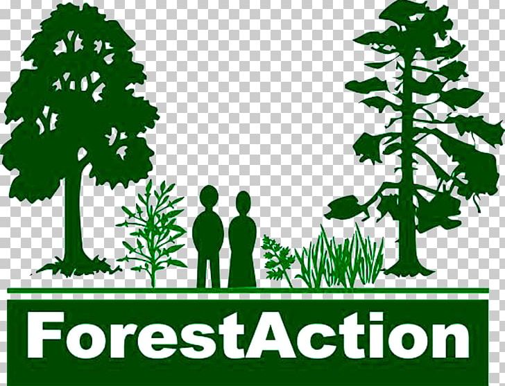 Forestry Organization Logo Sustainable Forest Management PNG, Clipart, Biodiversity, Branch, Brand, Community Forestry, Conservation Movement Free PNG Download