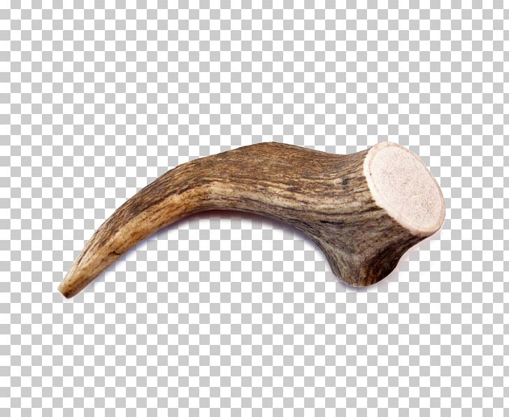 Antler /m/083vt PNG, Clipart, Antler, Art, M083vt, Wood Free PNG Download