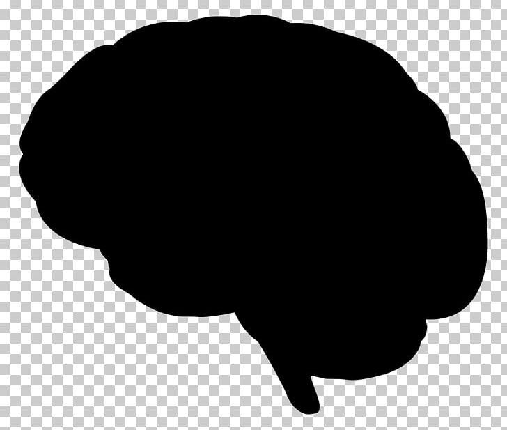 Brain Drawing PNG, Clipart, Anatomy, Black, Black And White, Brain, Brainstem Free PNG Download