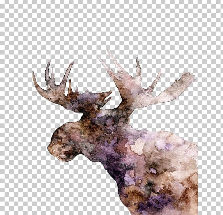 Moose Deer Elk Watercolor Painting PNG, Clipart, Abstract, Animal, Animals, Antler, Christmas Decoration Free PNG Download