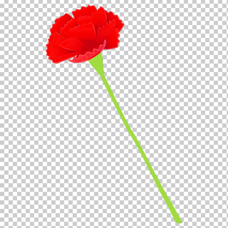 Red Flower Plant Carnation Cut Flowers PNG, Clipart, Carnation, Coquelicot, Cut Flowers, Flower, Paint Free PNG Download