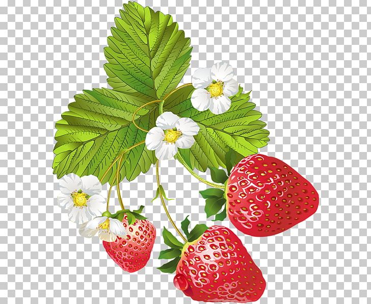 Strawberry Ice Cream Fruit PNG, Clipart, Auglis, Berry, Cartoon, Clip Art, Food Free PNG Download