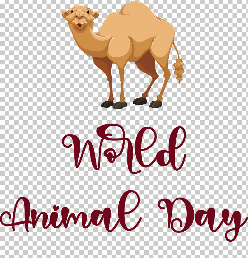 Dromedary Logo Snout Character Camels PNG, Clipart, Biology, Camels, Character, Dromedary, Logo Free PNG Download