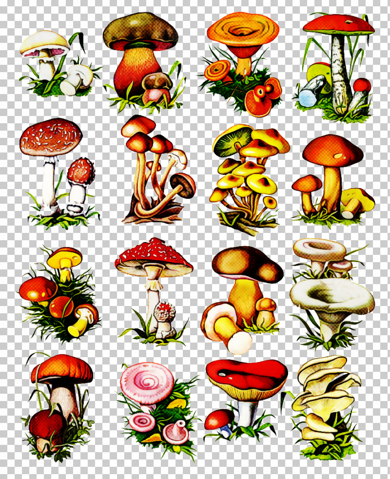 Mushroom Plant PNG, Clipart, Mushroom, Plant Free PNG Download