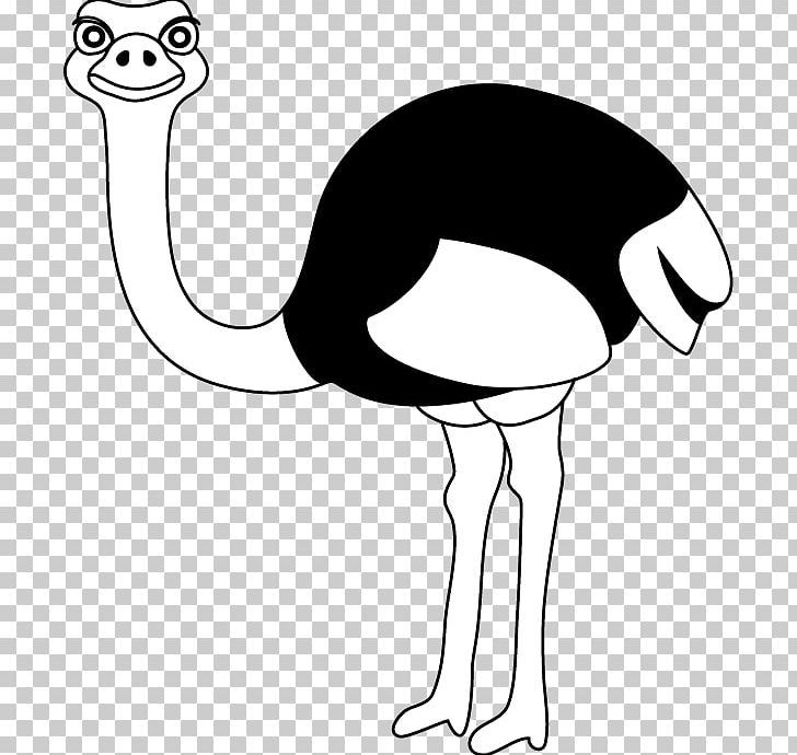 Common Ostrich PNG, Clipart, Artwork, Beak, Bird, Black And White, Coloring Book Free PNG Download