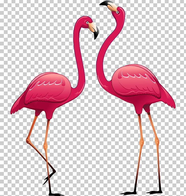 India Wall Decal Sticker Polyvinyl Chloride PNG, Clipart, Beak, Bird, Decal, Decorative Arts, Flamingo Free PNG Download