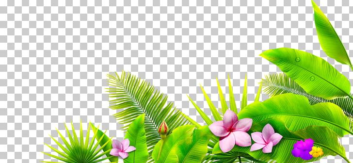 Leaf Petal Google S PNG, Clipart, Background Green, Computer Wallpaper, Download, Encapsulated Postscript, Fall Leaves Free PNG Download