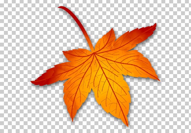 Maple Leaf PNG, Clipart, 1990s, Leaf, Maple, Maple Leaf, Maple Tree Free PNG Download