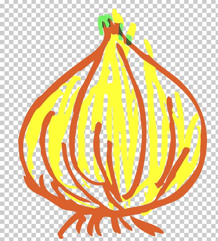 Onion PNG, Clipart, Artwork, Drawing, Flower, Flowering Plant, Food Free PNG Download